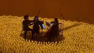 CANDLELIGHT TRIBUTO LUIS MIGUEL-Amarte Es Un Placer-En Vivo-Medell&iacute;n (Colombia) Ago 2025