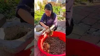 Fern root noodles which were once a filling food in those days of material scarcity are no