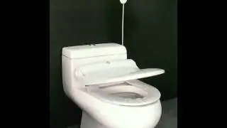 sanitarysolutions.ie Button Type.