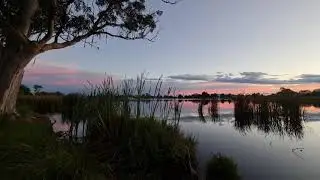 Hamilton Lake Domain,  Peaceful and Pretty Place , North Island, New Zealand