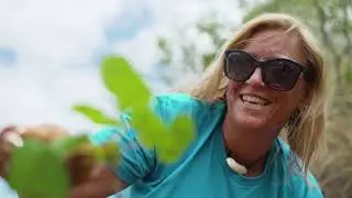 Using Native Plants to Protect Coral Reefs
