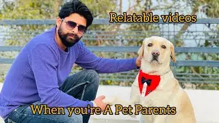 When you are a pet parents | Most Relatable video ever | #yuvimicky #labrador #daddoglife