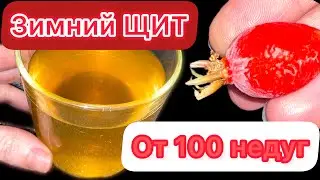 Как губка ОЧИЩАЕТ сосуды, снимает ОТЁКИ / Зимний ЩИТ от 100 болезней /  ЛЕКАРСТВО на вес ЗОЛОТА