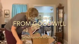 Goodwill Box Opening