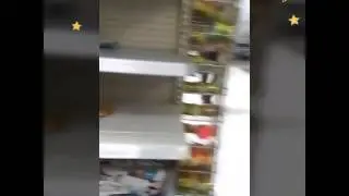 Toy hunt lps