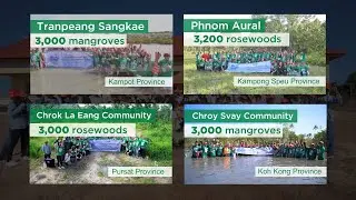 Chip Mong Planted 12,200 Trees in 2019