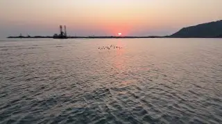 Breathtaking Kokan Beaches: Seagulls, Waves & Golden Hour Bliss| Cinematic Travel Vlog