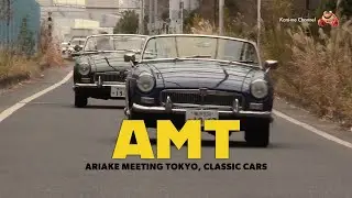AMT 