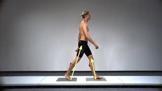 TEMPLO&reg; Gait - Dashboard Analysis - Force // 2D Markerless Tracking