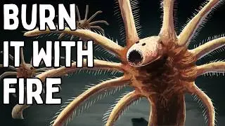 The Extinct Nightmarish Creatures You've Never Heard Of