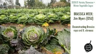 BRASSICA WEEK: Jim Myers, Oregon State University