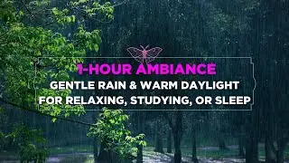 1 Hour warm Rainstorm Ambience | Gentle Rain & Warm Daylight for Relaxing, Studying, or Sleep