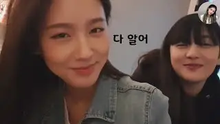 그냥 댕자 [의미부여]