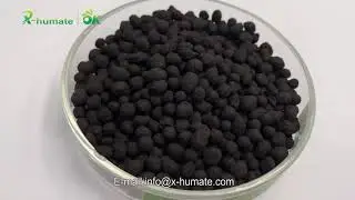 HUMIC ACID WITH AMINO ACID NPK BALCK SHINY BALL