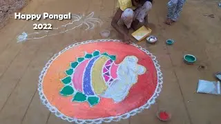 Pongal Celebration 2022 | Traditional Pongal and Kolam | Tamil Nadu Pongal | Halaya Entertainment