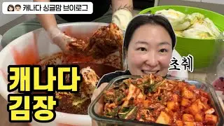 맥스 없는 3일동안 내가 벌린 일