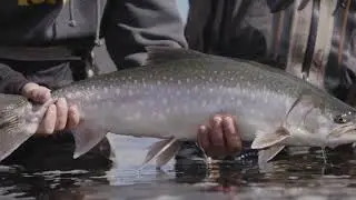 Discover Nord-du-Qu&eacute;bec - Arctic char fishing