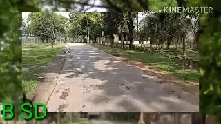 Way to Ashok paper mill(jogighopa)