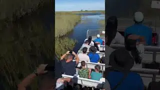 It&rsquo;s always raining on this side #airboat #florida #gators #outdoors