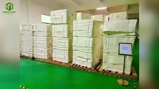 How Eco-Friendly Biodegradable Pulp Molded Tableware Is Made | Sustainable Manufacturing Process