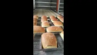 &Ccedil;EŞİT EKMEK &Uuml;RETİMİ & ETİ EKMEK FABRİKASI &Ccedil;ORUM & TAŞMAK FIRIN MAKİNALARI & 2022