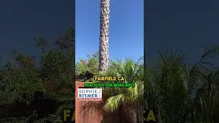 5051 Lakeshore Drive, Fairfield, CA 94534