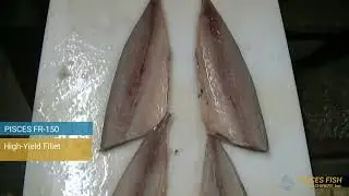 Φιλεταριστική μηχανή για σκουμπρί - Pisces FR-150