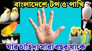 বাংলাদেশের টপ ৫ পাখি যার চাহিদা সারা বছর থাকে || Top 5 birds in Bangladesh || Birds of village