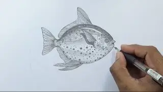 How to Draw a Realistic Fish for Beginners Step by Step Tutorial🐟 Pencil Sketch Video🐠 Easy to Draw🐟