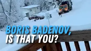 Moose Chased Down the Street by Trash Truck Driver in Anchorage