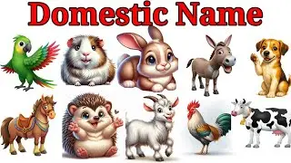 20 पालतू जानवरो के नाम, pet animals name with picture, learn for kids domestic animal name 