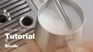 The Barista Express&reg; Impress | C&oacute;mo espumar la leche como un profesional | Breville M&eacute;xico
