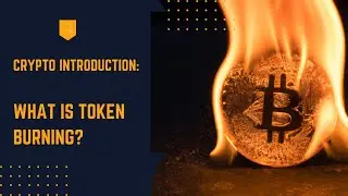Crypto Introduction: What is Token Burning?