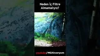 Neden İ&ccedil; Filtre Almamalıyız?