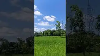 Dell garden garden //🫡 #minivlog #assameseshorts #assameseminivlog #shots