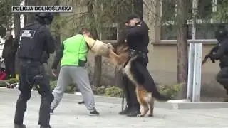 Polska Policja - Ćwiczenia dowódczo-sztabowe 