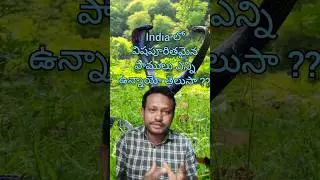 Top 5 most venomous snakes in india