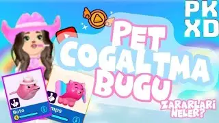 PKXD PET &Ccedil;OĞALTMA BUGU?! &Ccedil;OK B&Uuml;Y&Uuml;K BİR HATA | @St4r-50 #pkxdt&uuml;rkiye