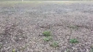The Beat Goes On UNOFFICIAL Music Video