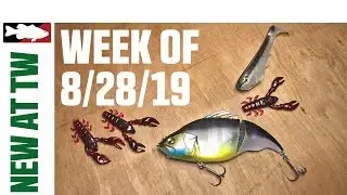 Что нового в Tackle Warehouse с Аароном Куорлзом &mdash; 28 августа 2019 г.