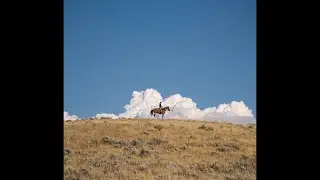 [FREE] Zach Bryan x Country Guitar Folk Type Beat 