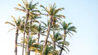 PR SURF ADVENTURES