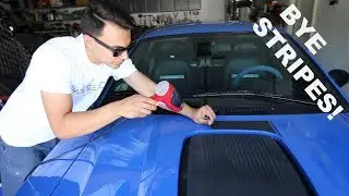 Removing the Racing Stripes off my Mach 1... FINALLY!