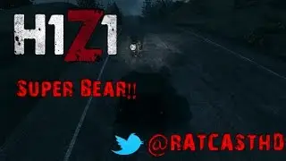H1Z1 When Bears Attack ( Broken Bears) @RATCASTHD