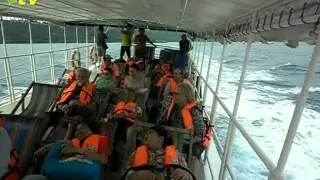 hapbits_tv. Back to the Mainland