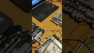 Flex / magic motorsport custom tuning / ECU software