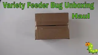 Unboxing a Online Feeder (BUG) Variety Pack
