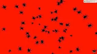Spider Video Generation With Red Background