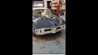Rare Pontiac Firebird