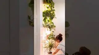 ✨PLANT POLE HACK! 🪴✨